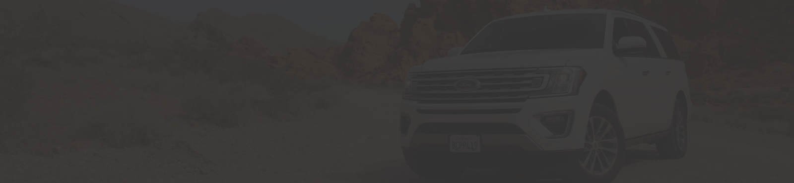 homepage-divider-image